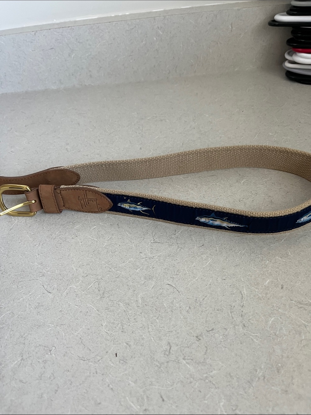 Navy Embroidered Fish Web Belt with Tan Leather Trim